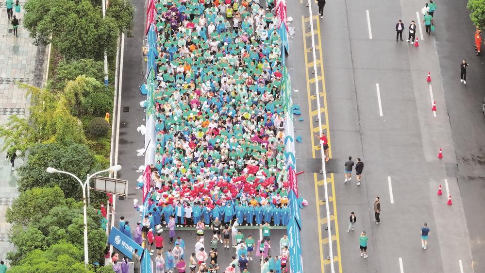 AA, entit, amp AA, entit, amp